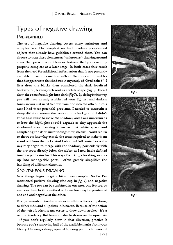 Negative Drawing allows you to break your drawings down into manageable sections, and stay in control.