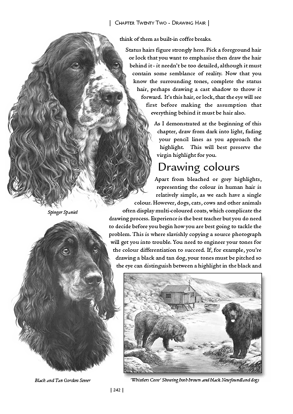 Drawing Hair offers an in-depth look at the drawing of many different types of hair and fur.